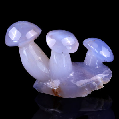 3.9" Blue Chalcedony Hand Carved Crystal Mushrooms Sculpture Crystallumi