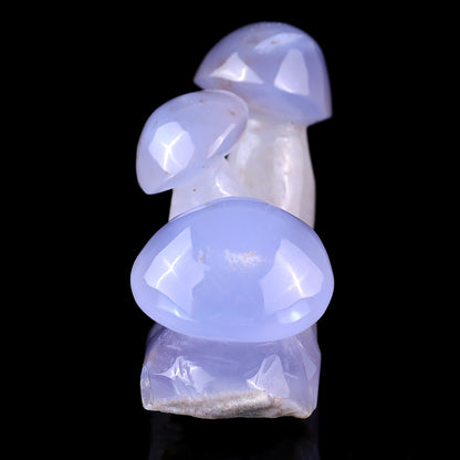 3.9" Blue Chalcedony Hand Carved Crystal Mushrooms Sculpture Crystallumi