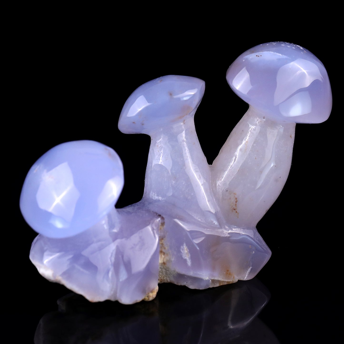 3.9" Blue Chalcedony Hand Carved Crystal Mushrooms Sculpture Crystallumi