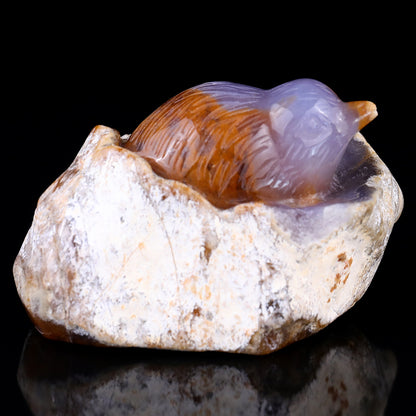 3.9" Chalcedony Hand Carved Crystal Bird Sculpture Crystallumi