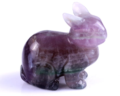 2.2" Fluorite Hand Carved Crystal Rabbit Sculpture