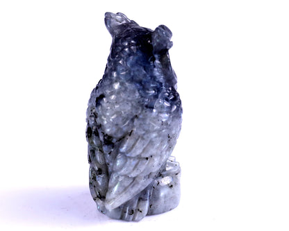 3.1" Labradorite Hand Carved Crystal Owl Sculpture