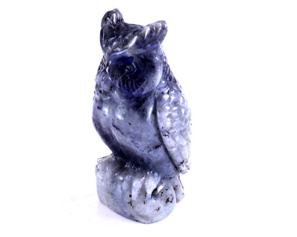 3.1" Labradorite Hand Carved Crystal Owl Sculpture