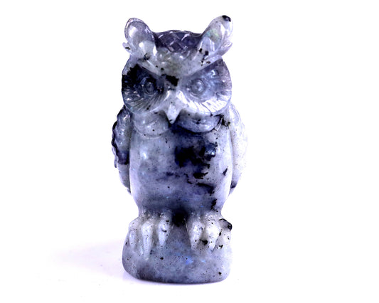 3.1" Labradorite Hand Carved Crystal Owl Sculpture