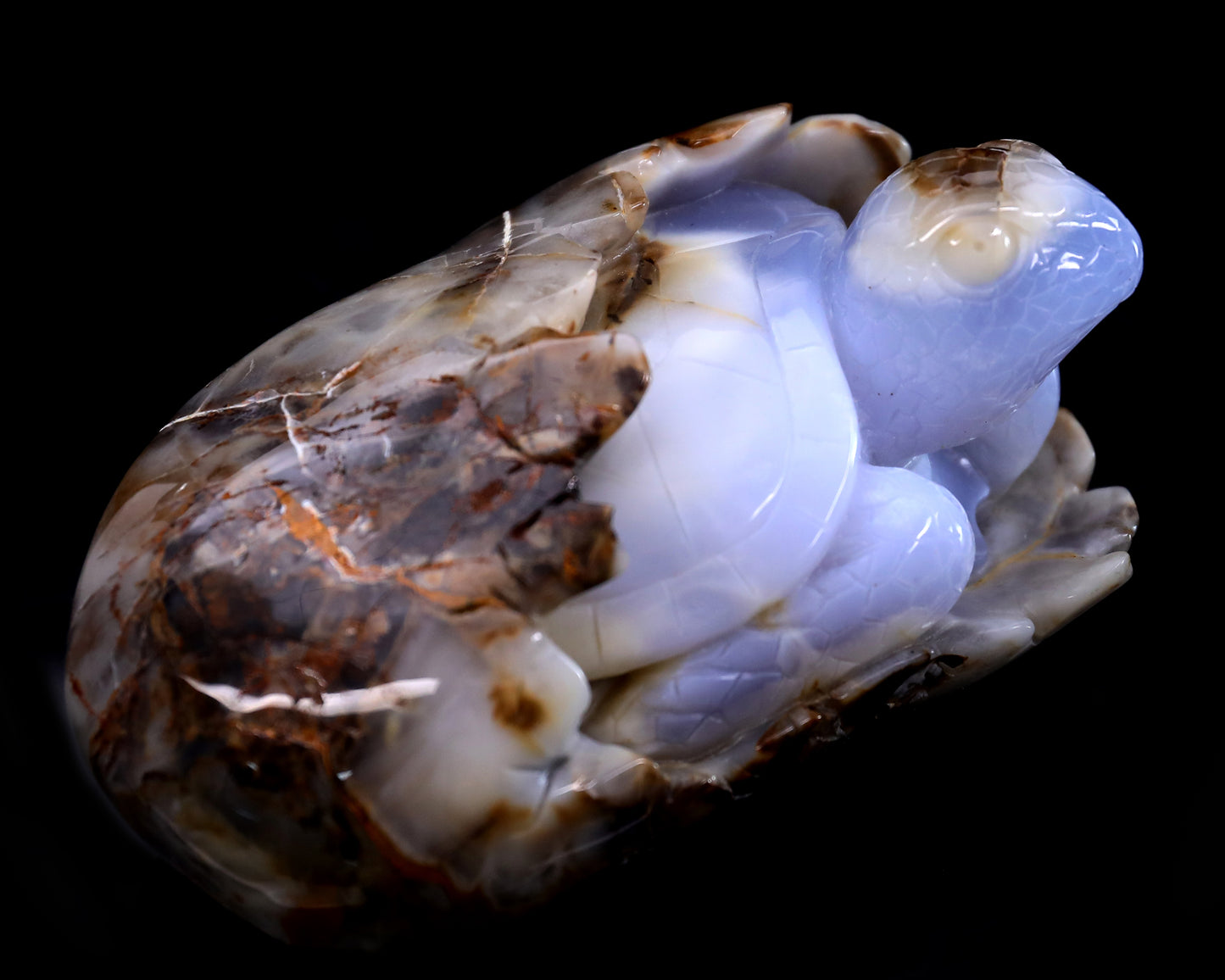 5.3" Blue Chalcedony Hand Carved Crystal Turtle Sculpture