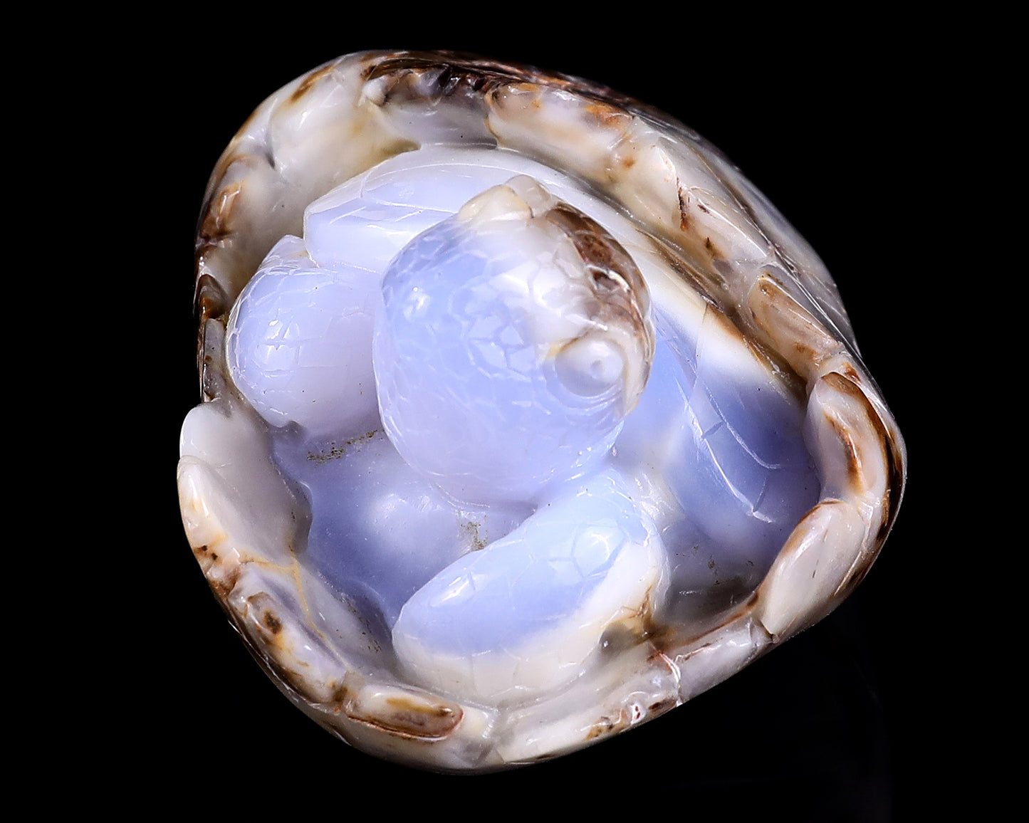 5.3" Blue Chalcedony Hand Carved Crystal Turtle Sculpture