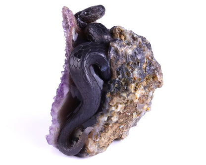 Unique 6.6" Amethyst Geode Agate Hand Carved Crystal Skull and Snake Sculpture