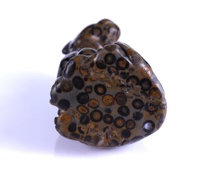 3.0" Leopard Skin Jasper Hand Carved Crystal Leopard Sculpture