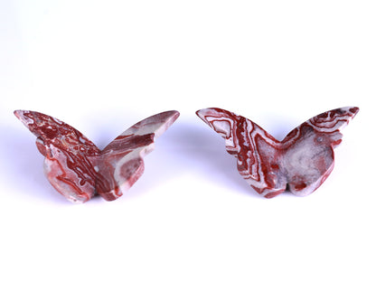 Natural Rainbow Stone Hand Carved Crystal Butterfly Set (4pcs)