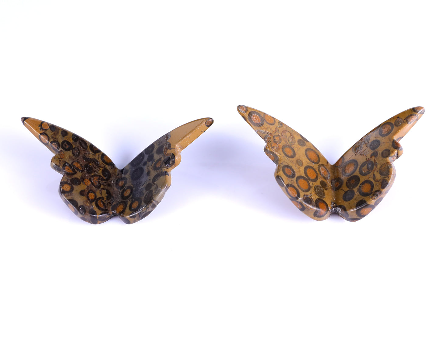 Natural Leopard Skin Jasper Hand Carved Crystal Butterfly Set (4pcs)