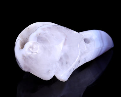 5.1" White Geode Agate Hand Carved Crystal Raven Skull Sculpture