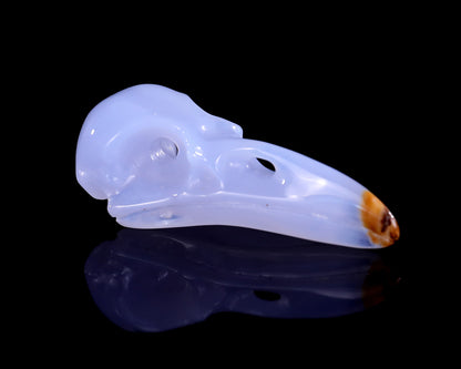 2.4" Blue Chalcedony Hand Carved Crystal Raven Skull Sculpture