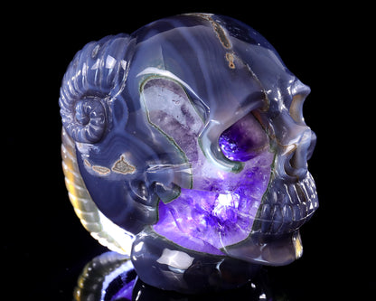 Unique 6.3" Amethyst Druse Agate Hand Carved Mineral Specimen Skull with Horn Sculpture