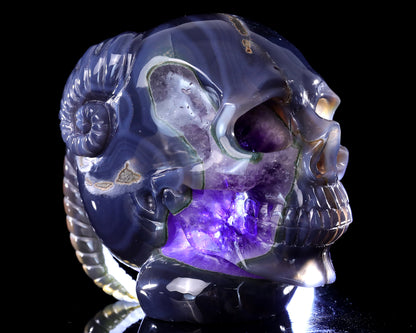 Unique 6.3" Amethyst Druse Agate Hand Carved Mineral Specimen Skull with Horn Sculpture