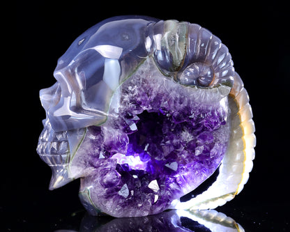 Unique 6.3" Amethyst Druse Agate Hand Carved Mineral Specimen Skull with Horn Sculpture