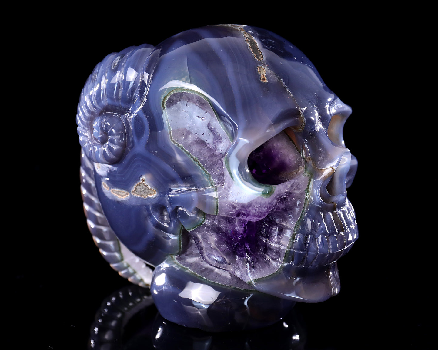 Unique 6.3" Amethyst Druse Agate Hand Carved Mineral Specimen Skull with Horn Sculpture