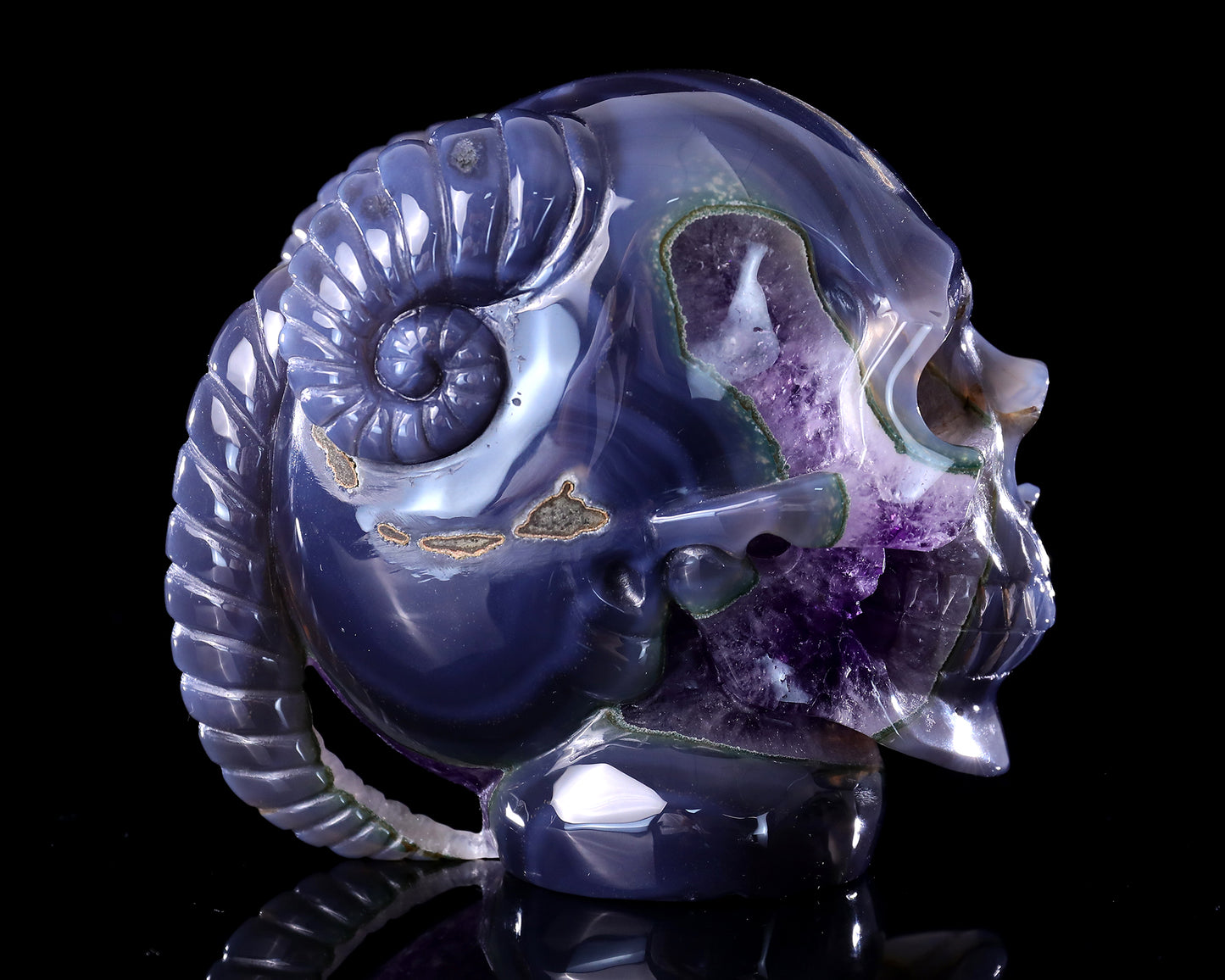 Unique 6.3" Amethyst Druse Agate Hand Carved Mineral Specimen Skull with Horn Sculpture