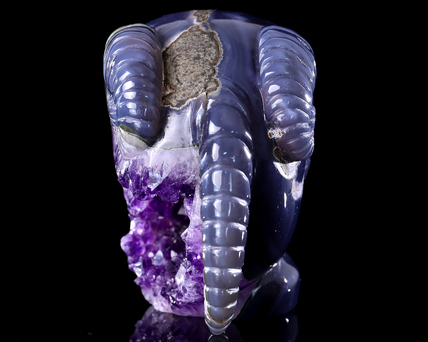 Unique 6.3" Amethyst Druse Agate Hand Carved Mineral Specimen Skull with Horn Sculpture