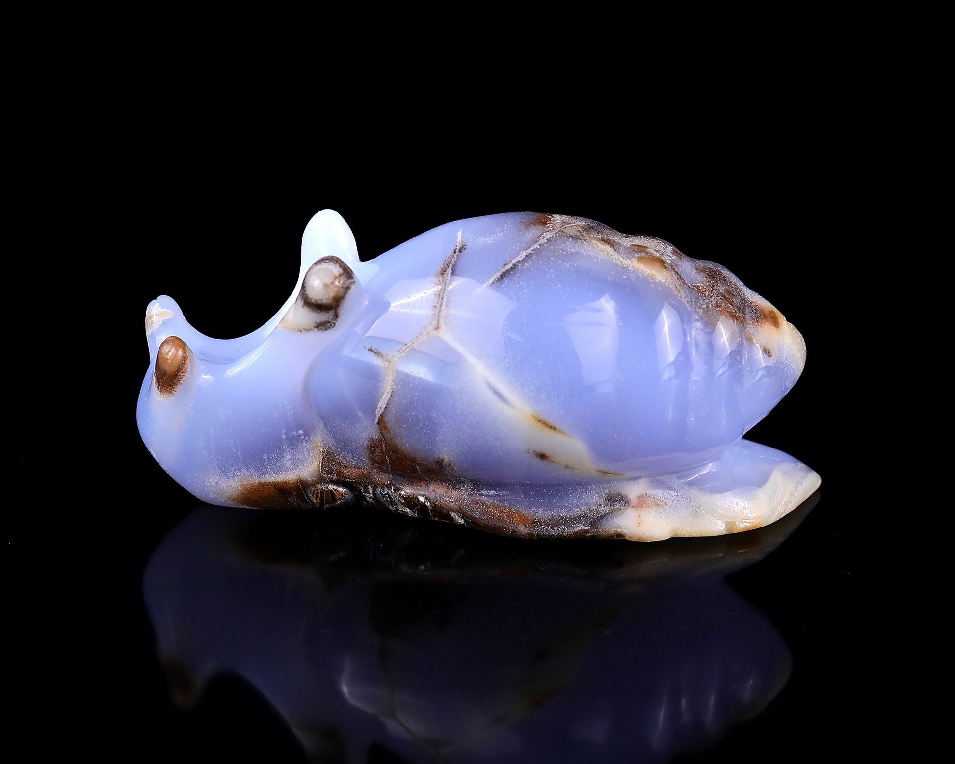 4.0" Blue Chalcedony Hand Carved Crystal Snail Sculpture Crystallumi