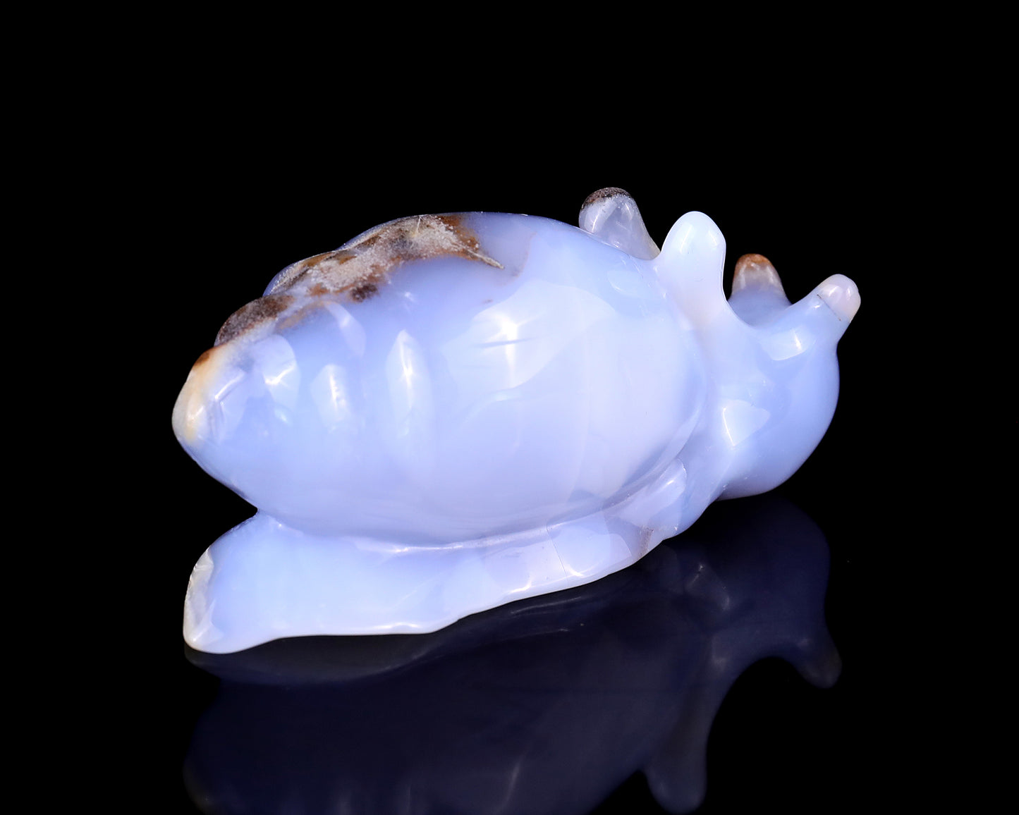 4.0" Blue Chalcedony Hand Carved Crystal Snail Sculpture Crystallumi