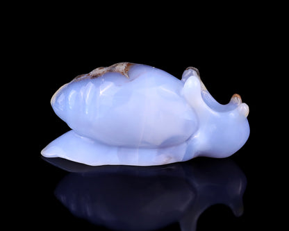 4.0" Blue Chalcedony Hand Carved Crystal Snail Sculpture Crystallumi