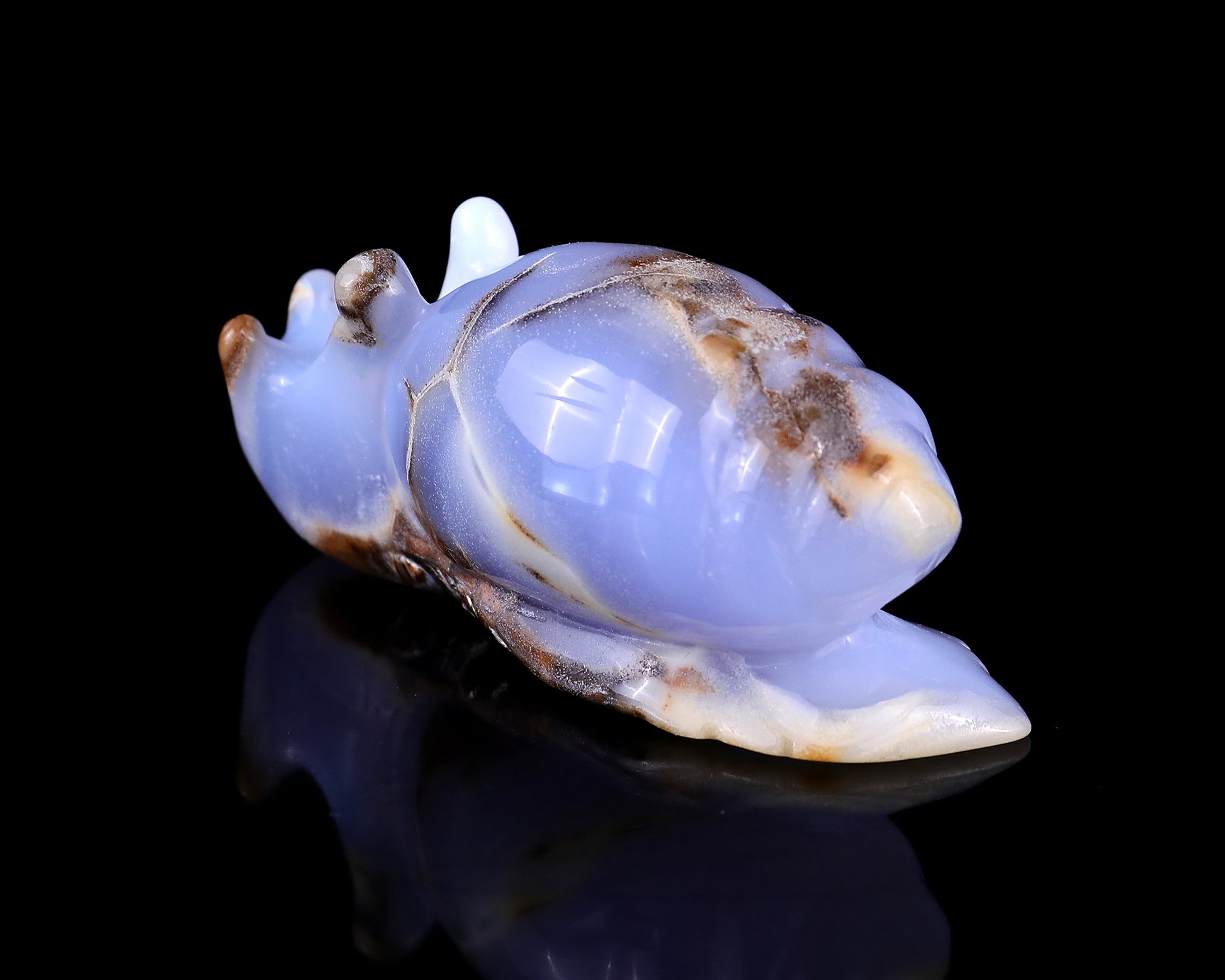 4.0" Blue Chalcedony Hand Carved Crystal Snail Sculpture Crystallumi