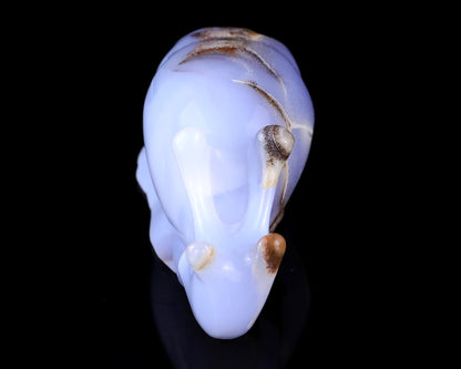 4.0" Blue Chalcedony Hand Carved Crystal Snail Sculpture Crystallumi