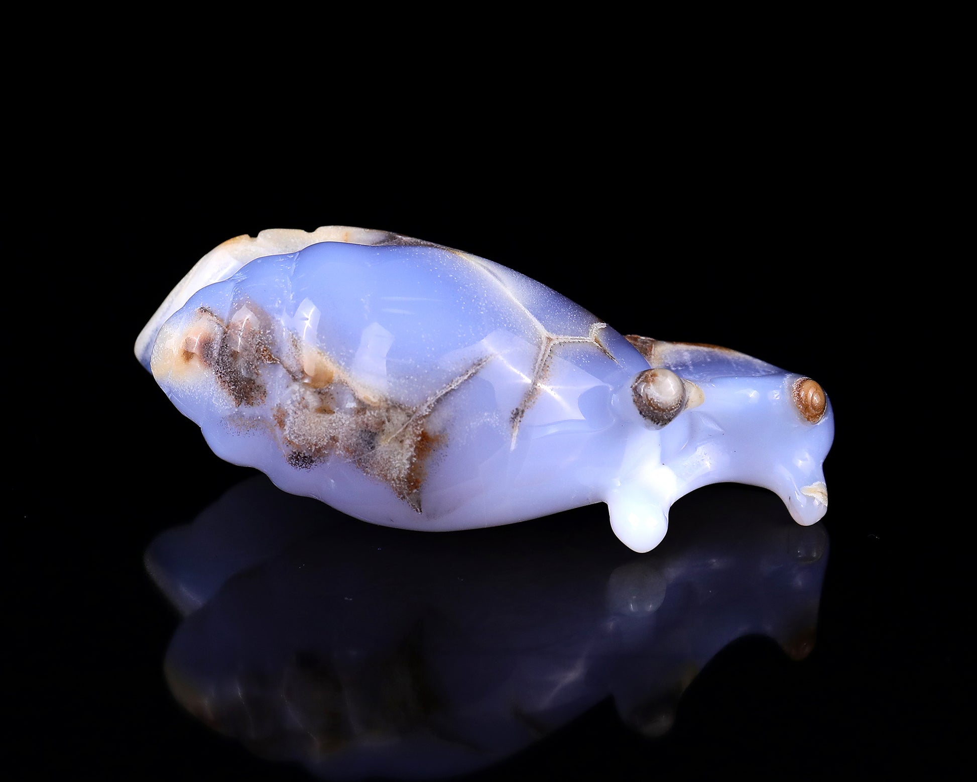 4.0" Blue Chalcedony Hand Carved Crystal Snail Sculpture Crystallumi