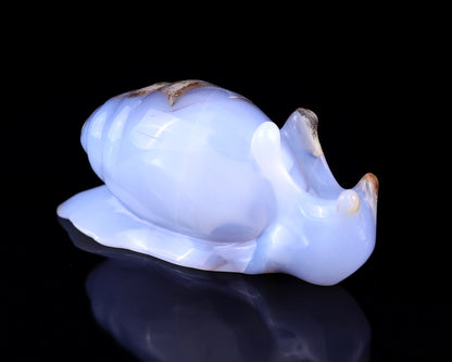 4.0" Blue Chalcedony Hand Carved Crystal Snail Sculpture Crystallumi