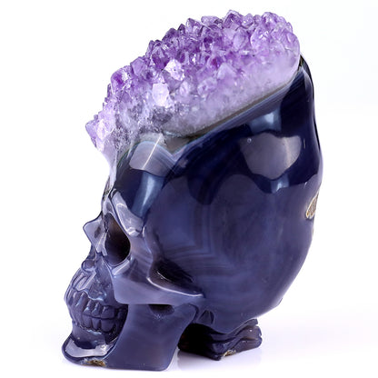 4.1" Amethyst Druse Agate Hand Carved Mineral Specimen Skull Sculpture Crystallumi