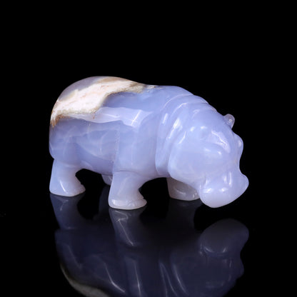 4.1" Blue Chalcedony Hand Carved Crystal Hippo Sculpture Crystallumi