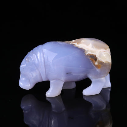 4.1" Blue Chalcedony Hand Carved Crystal Hippo Sculpture Crystallumi