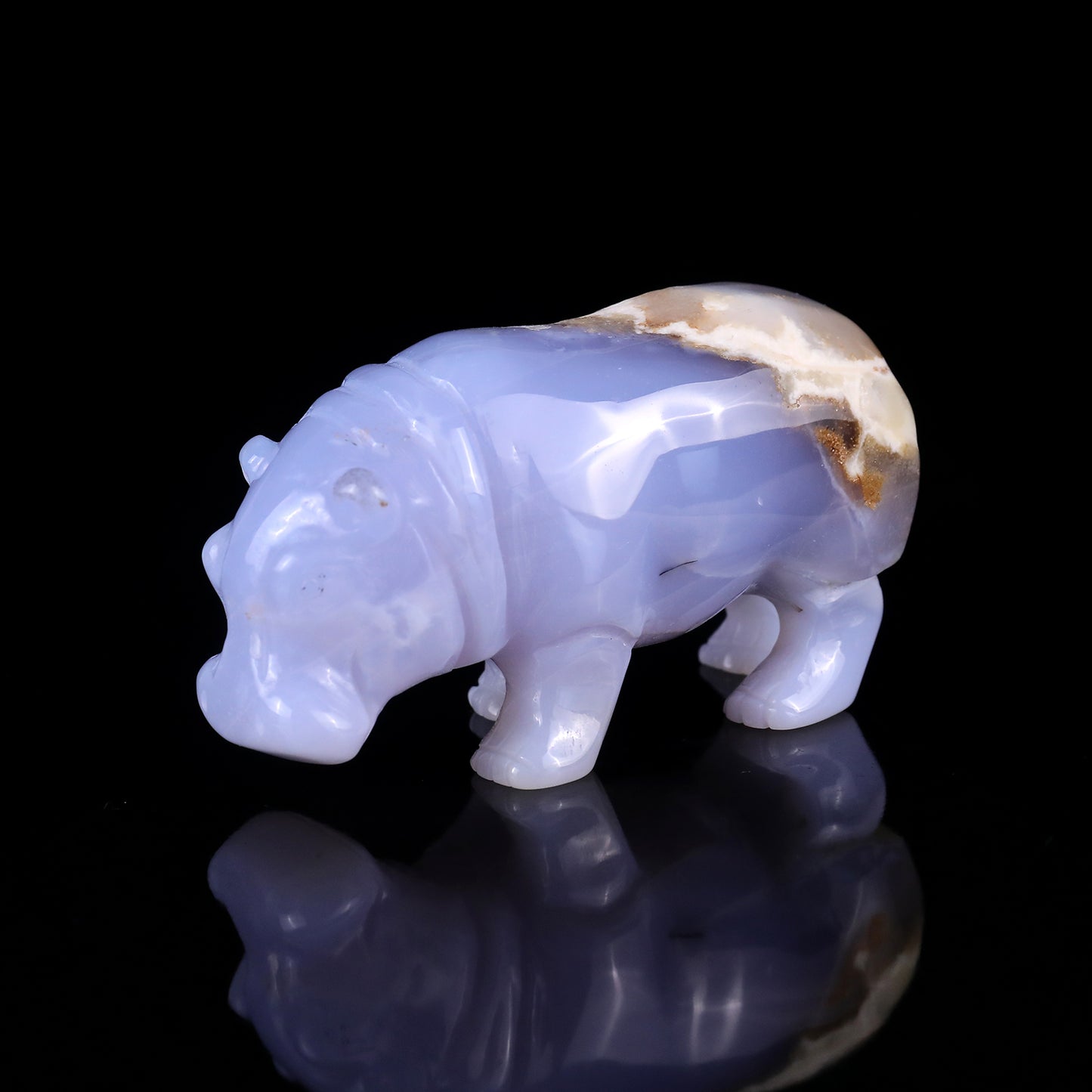 4.1" Blue Chalcedony Hand Carved Crystal Hippo Sculpture Crystallumi