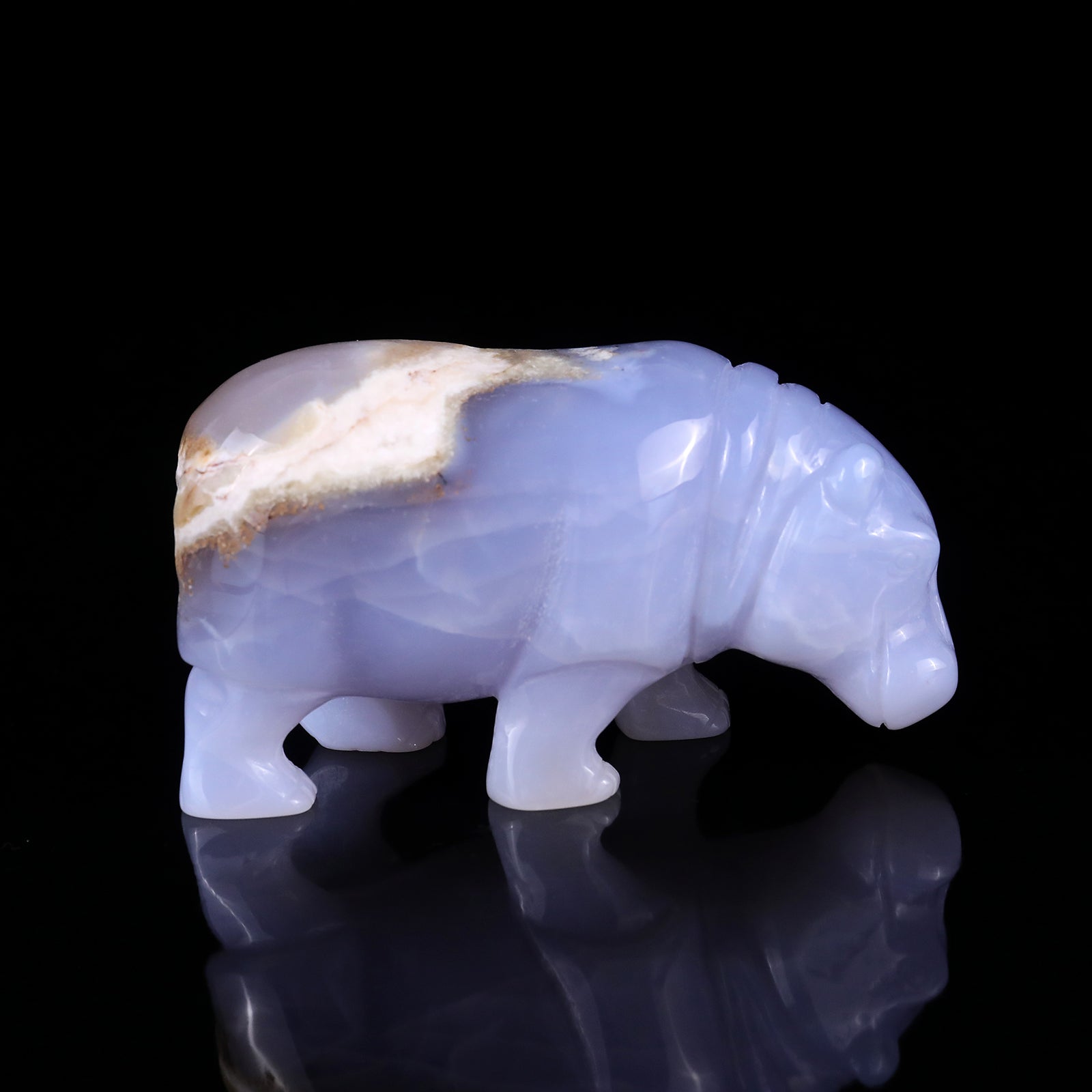 4.1" Blue Chalcedony Hand Carved Crystal Hippo Sculpture Crystallumi