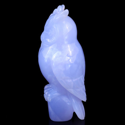 4.1" Blue Chalcedony Hand Carved Crystal Owl Sculpture Crystallumi