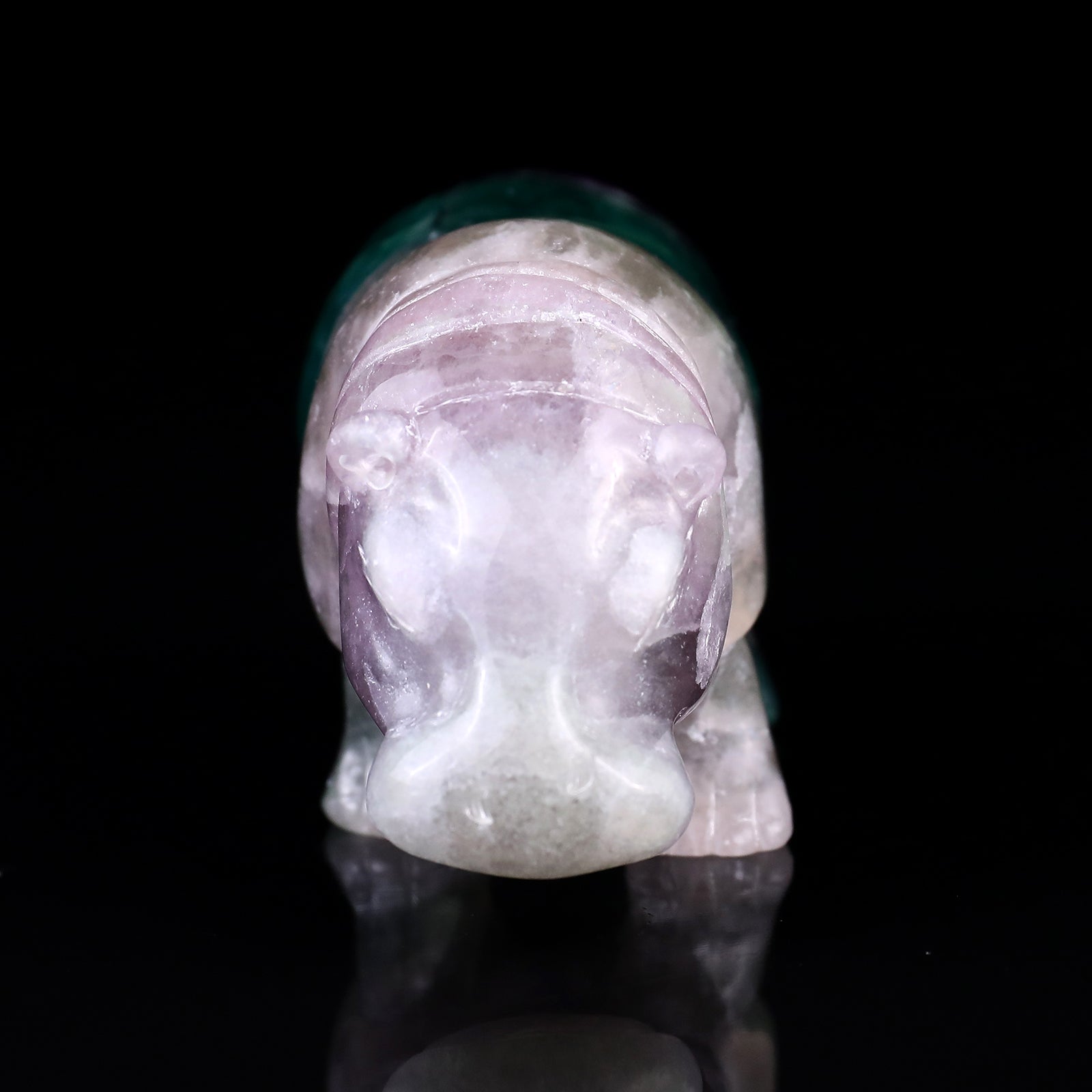 4.1" Colorful Fluorite Hand Carved Crystal Hippo Sculpture Crystallumi