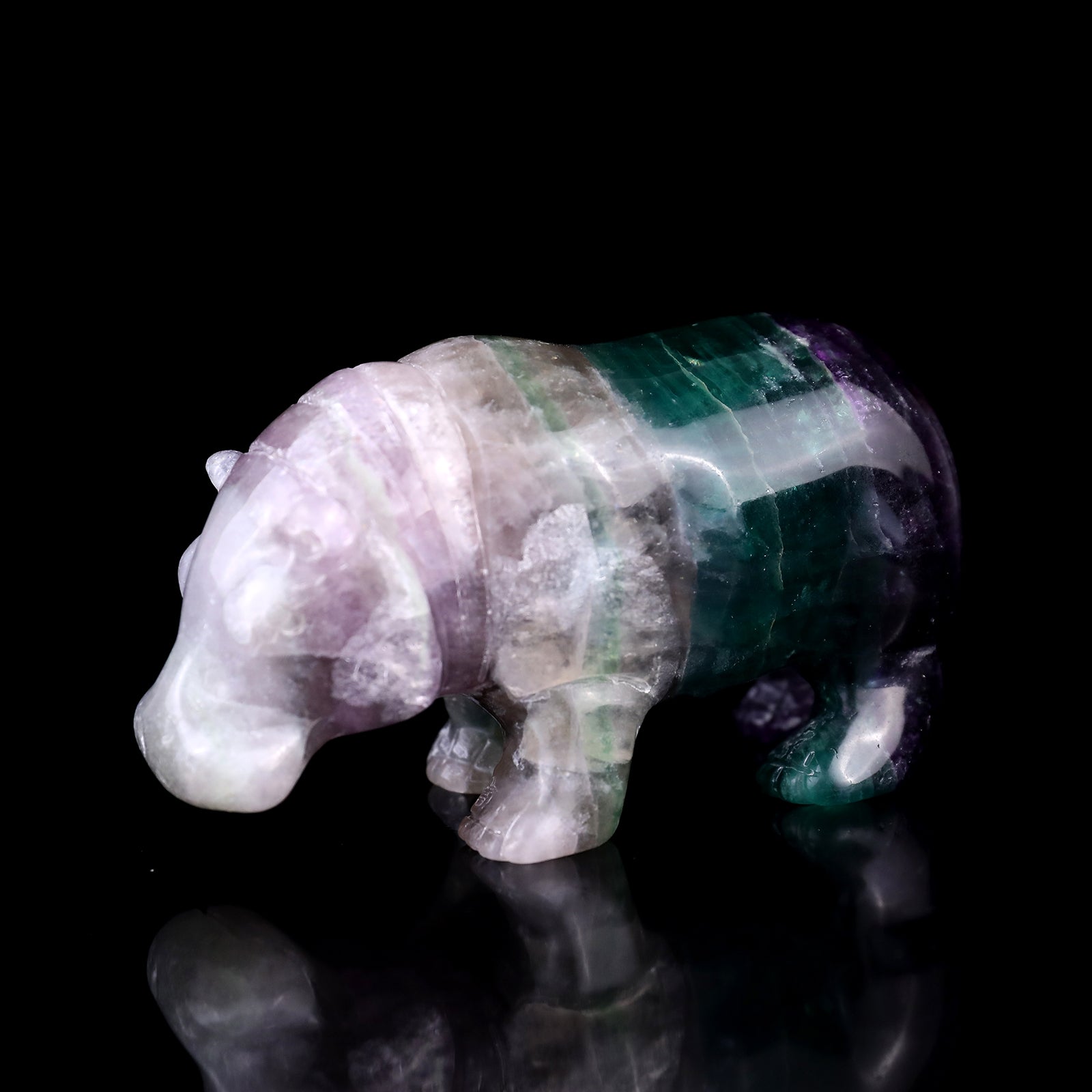 4.1" Colorful Fluorite Hand Carved Crystal Hippo Sculpture Crystallumi