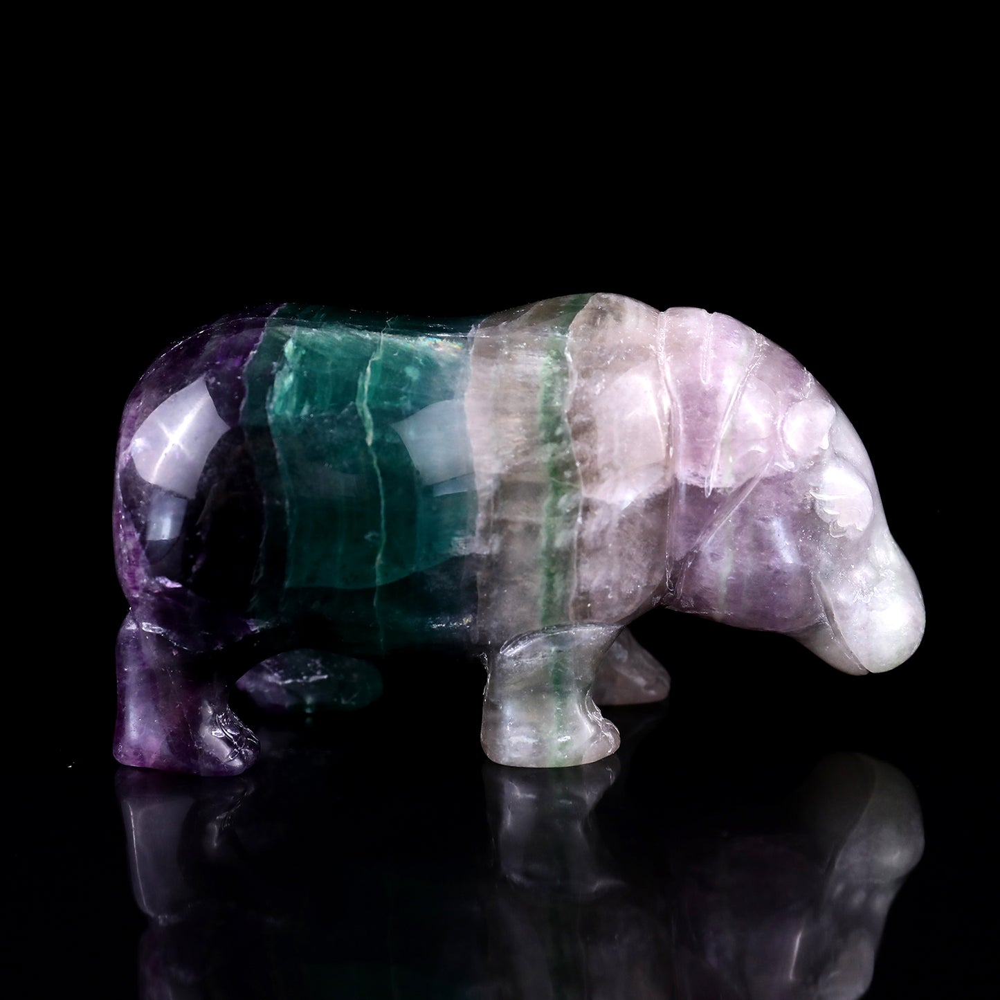 4.1" Colorful Fluorite Hand Carved Crystal Hippo Sculpture Crystallumi