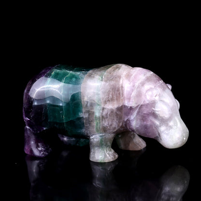 4.1" Colorful Fluorite Hand Carved Crystal Hippo Sculpture Crystallumi