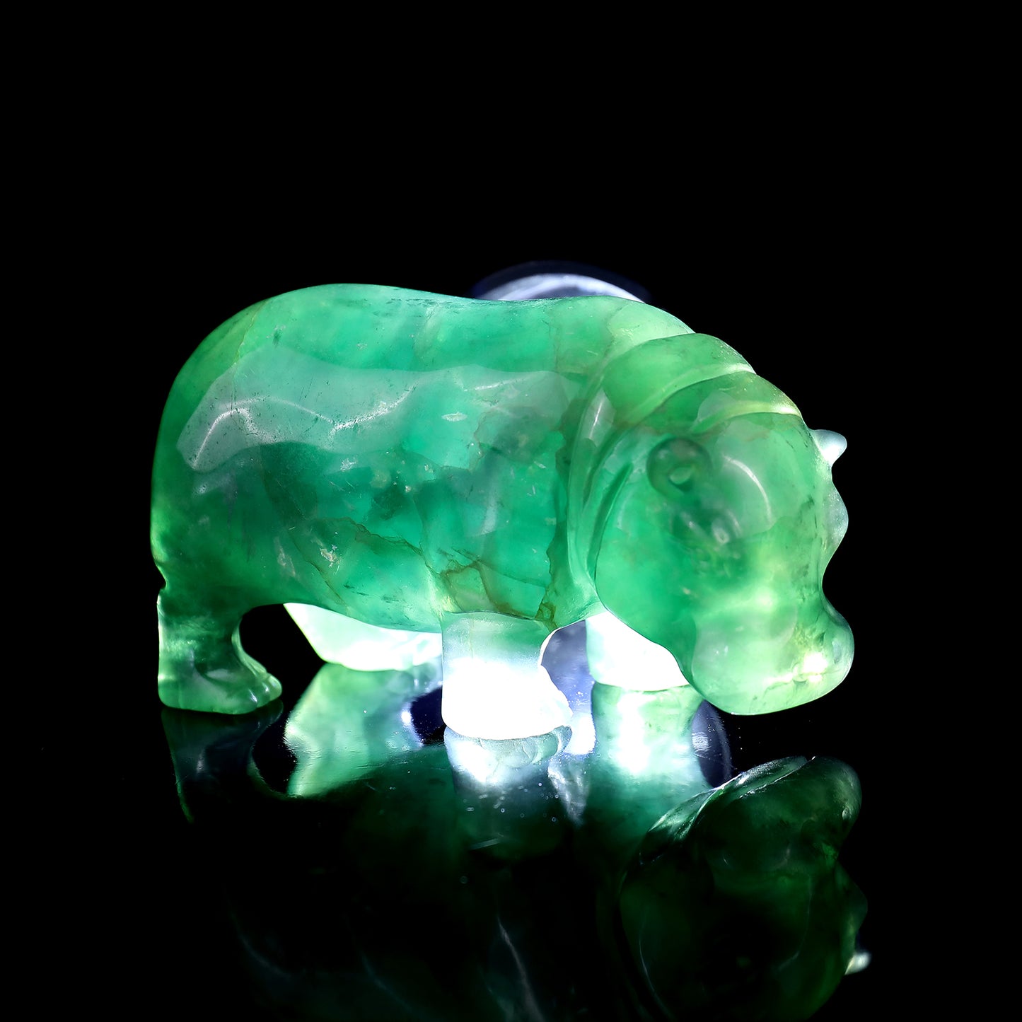 4.1" Fluorite Hand Carved Crystal Hippo Sculpture Crystallumi