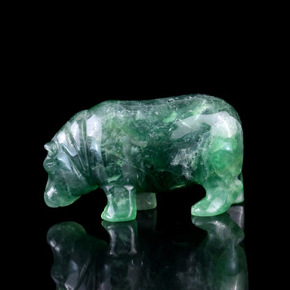 4.1" Fluorite Hand Carved Crystal Hippo Sculpture Crystallumi