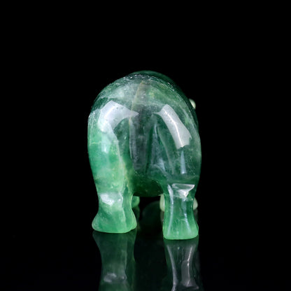 4.1" Fluorite Hand Carved Crystal Hippo Sculpture Crystallumi