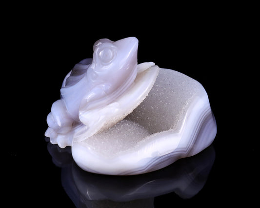 4.1" Geode Agate Hand Carved Crystal Frog Sculpture Crystallumi