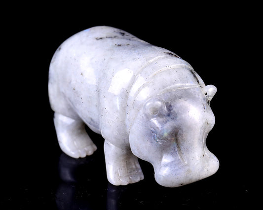 4.1" Labradorite Hand Carved Crystal Hippo Sculpture Crystallumi