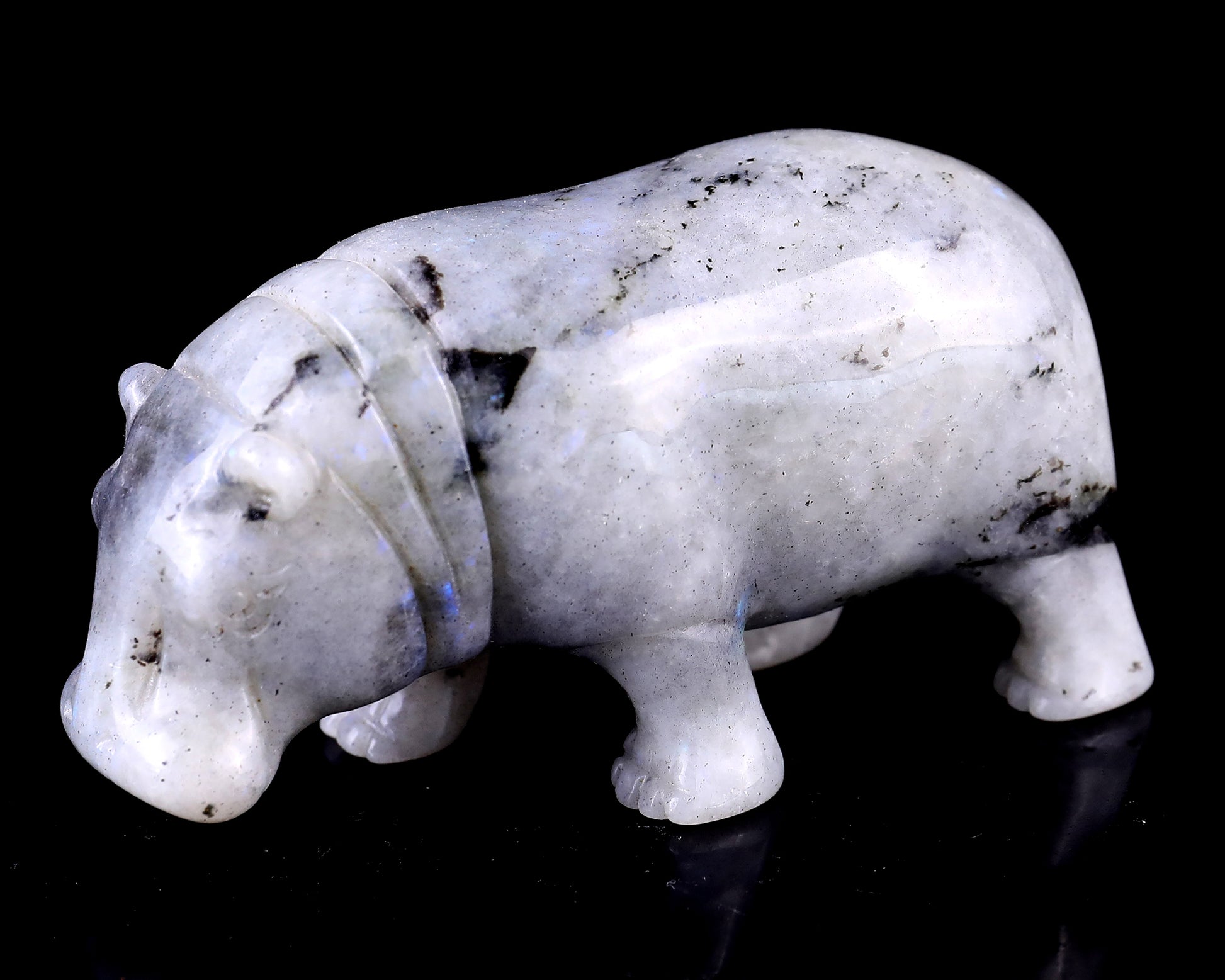 4.1" Labradorite Hand Carved Crystal Hippo Sculpture Crystallumi