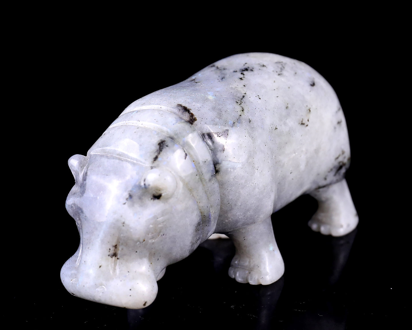 4.1" Labradorite Hand Carved Crystal Hippo Sculpture Crystallumi