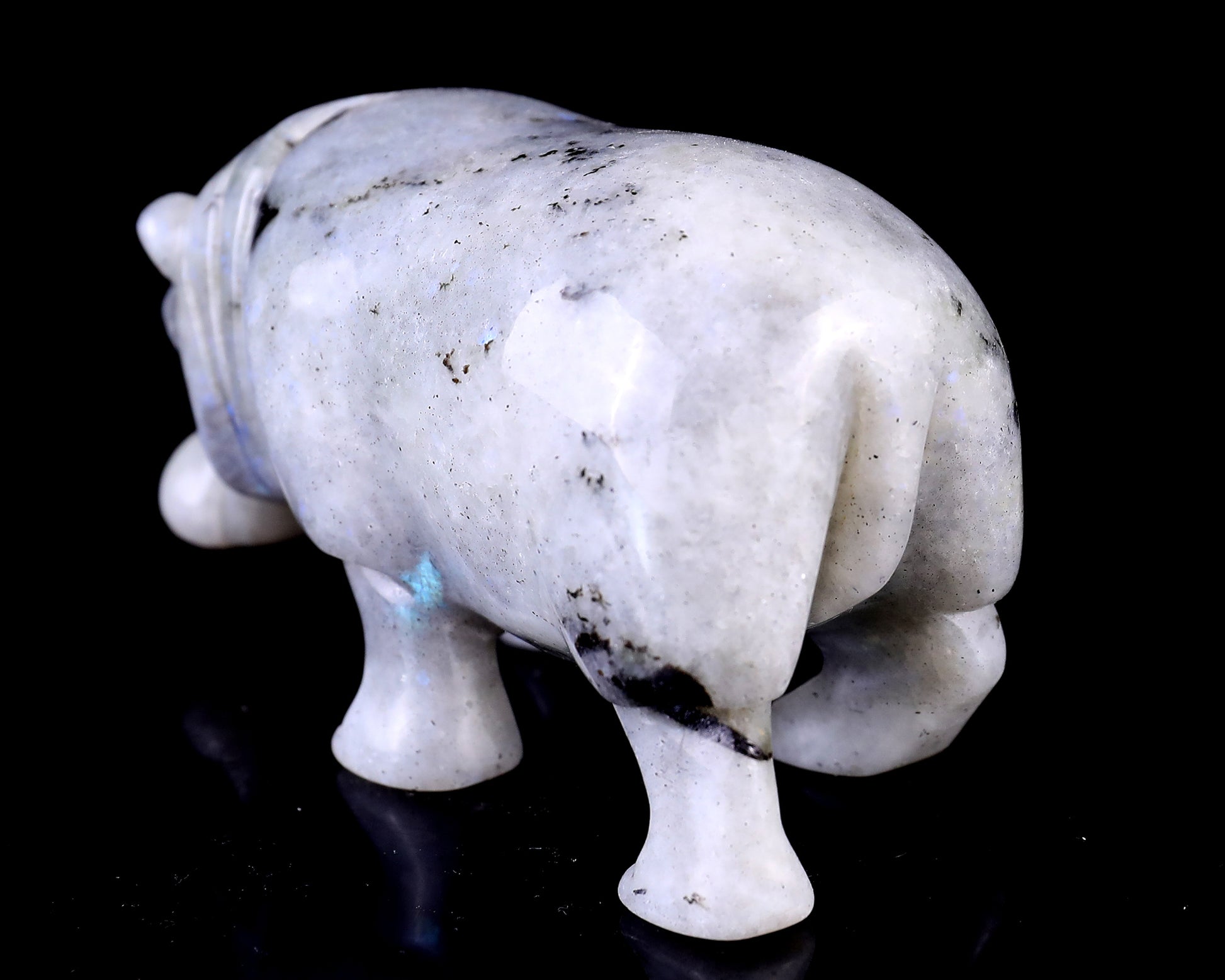 4.1" Labradorite Hand Carved Crystal Hippo Sculpture Crystallumi