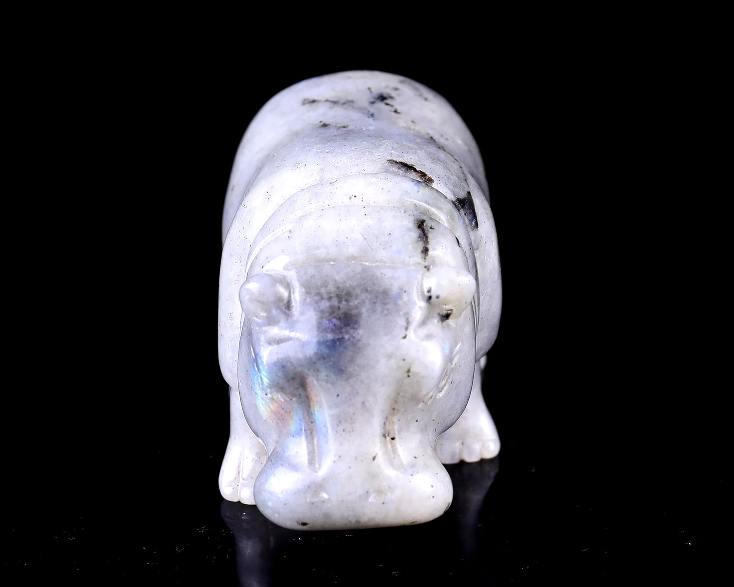 4.1" Labradorite Hand Carved Crystal Hippo Sculpture Crystallumi