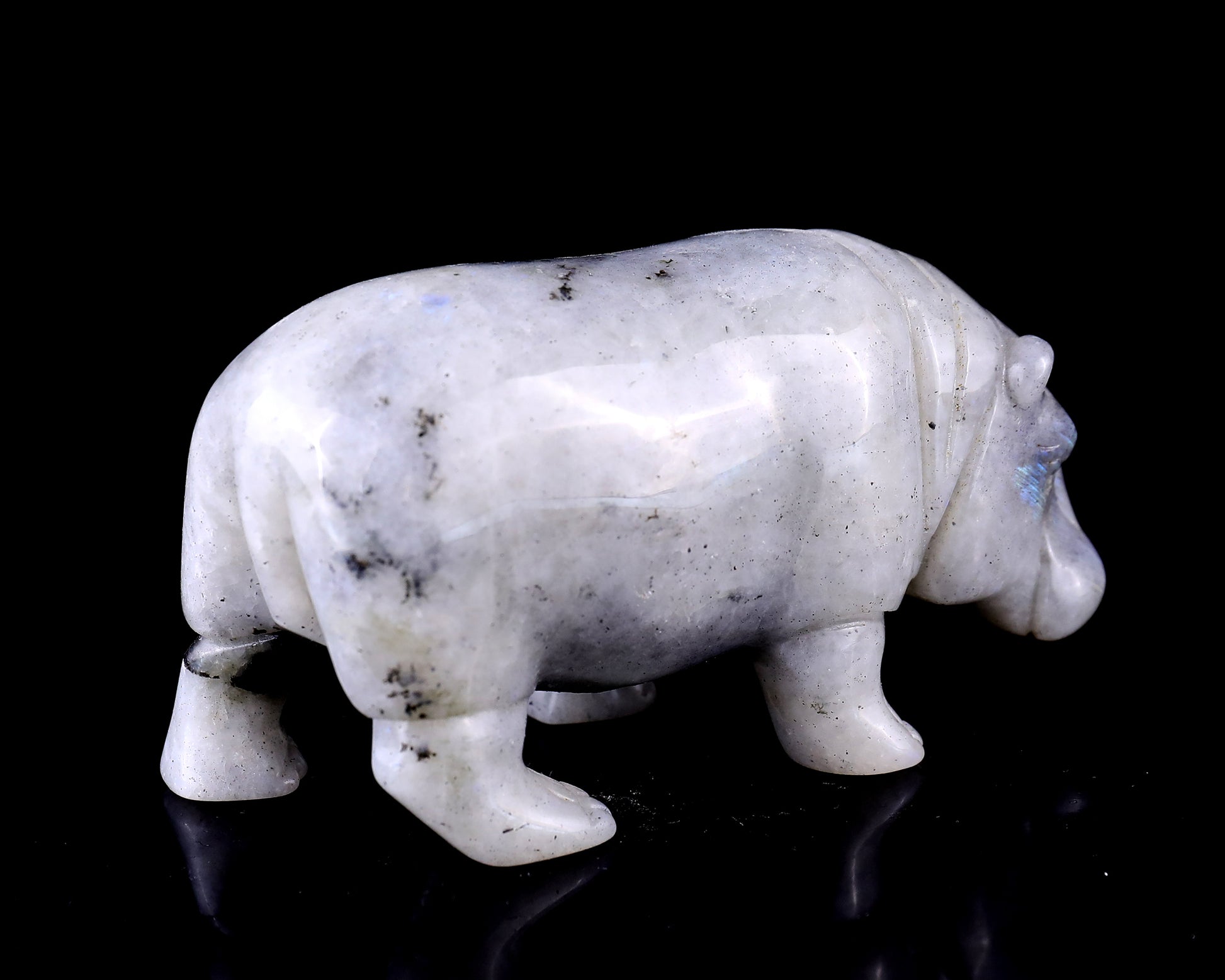 4.1" Labradorite Hand Carved Crystal Hippo Sculpture Crystallumi