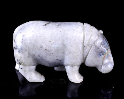 4.1" Labradorite Hand Carved Crystal Hippo Sculpture Crystallumi